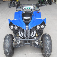 110CC Quad / 125CC ATV mit Reverse (ET-ATV048)